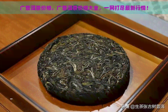 广普洱茶价格，广普洱茶价格大全，一网打尽最新行情！