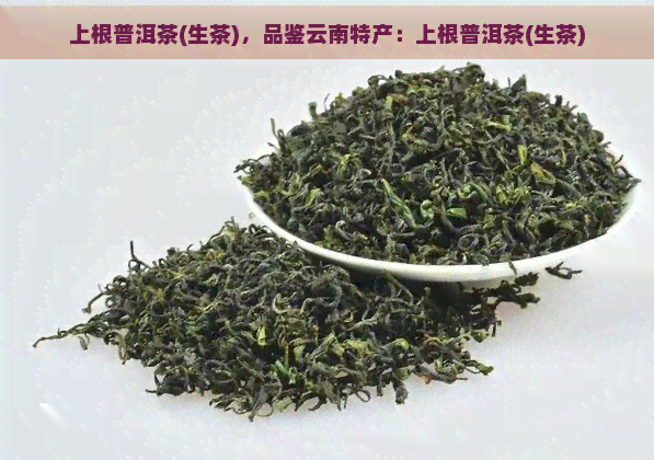 上根普洱茶(生茶)，品鉴云南特产：上根普洱茶(生茶)