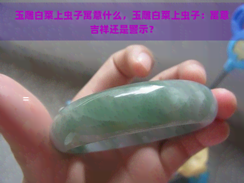 玉雕白菜上虫子寓意什么，玉雕白菜上虫子：寓意吉祥还是警示？