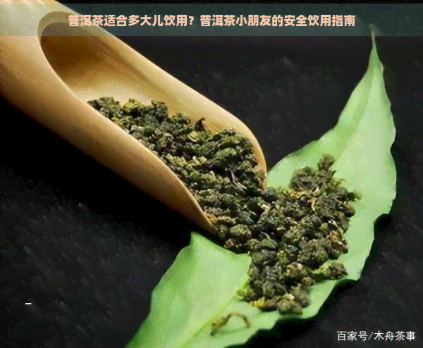 普洱茶适合多大儿饮用？普洱茶小朋友的安全饮用指南