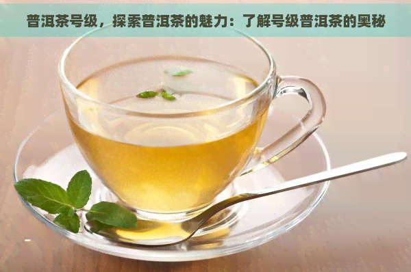 普洱茶号级，探索普洱茶的魅力：了解号级普洱茶的奥秘