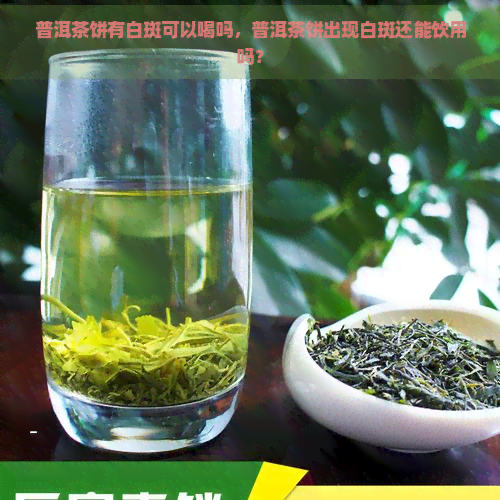 普洱茶饼有白斑可以喝吗，普洱茶饼出现白斑还能饮用吗？