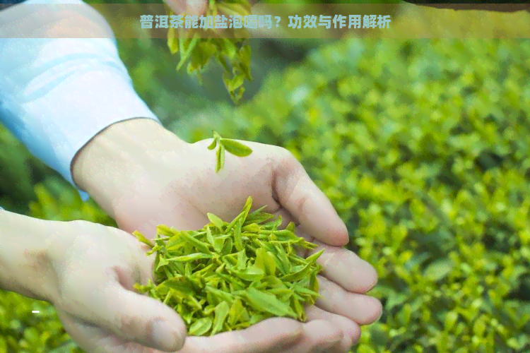 普洱茶能加盐泡喝吗？功效与作用解析