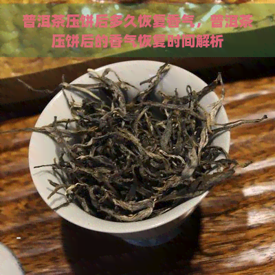 普洱茶压饼后多久恢复香气，普洱茶压饼后的香气恢复时间解析