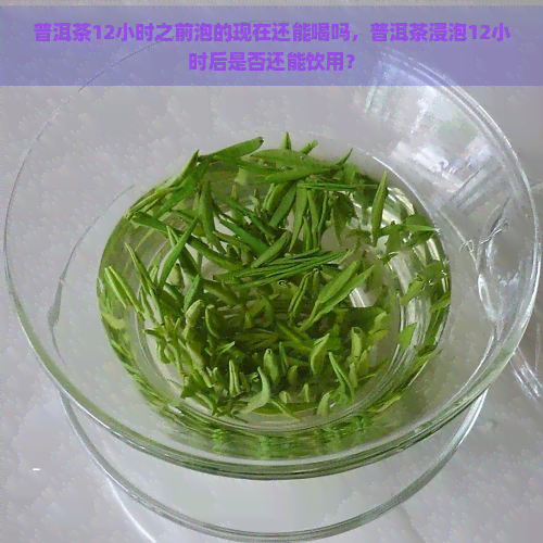 普洱茶12小时之前泡的现在还能喝吗，普洱茶浸泡12小时后是否还能饮用？