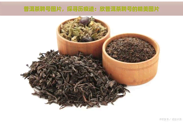 普洱茶聘号图片，探寻历痕迹：欣普洱茶聘号的精美图片