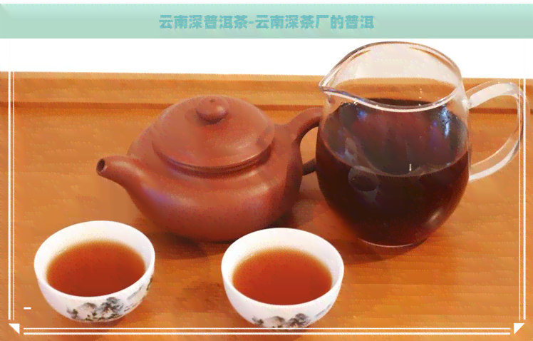 云南深普洱茶-云南深茶厂的普洱