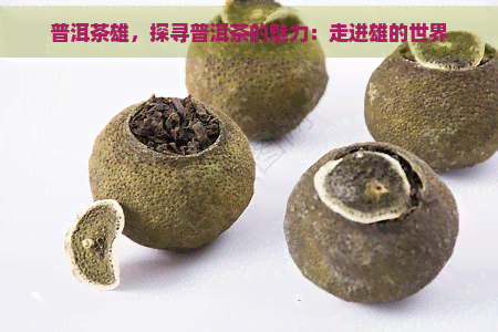 普洱茶雄，探寻普洱茶的魅力：走进雄的世界