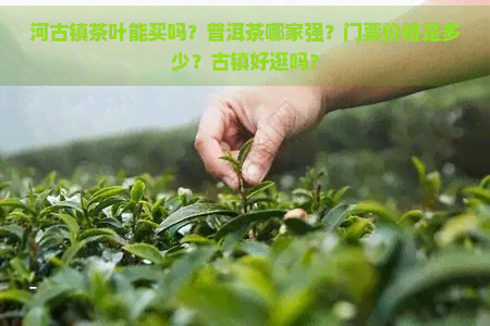 河古镇茶叶能买吗？普洱茶哪家强？门票价格是多少？古镇好逛吗？