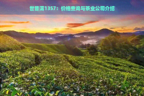 世普洱1357：价格查询与茶业公司介绍