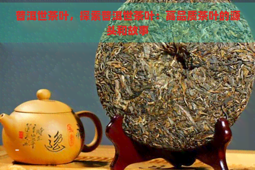 普洱世茶叶，探索普洱世茶叶：高品质茶叶的源头和故事