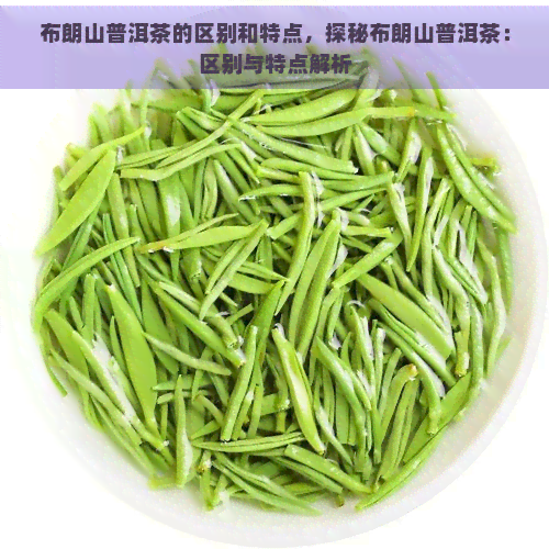 布朗山普洱茶的区别和特点，探秘布朗山普洱茶：区别与特点解析