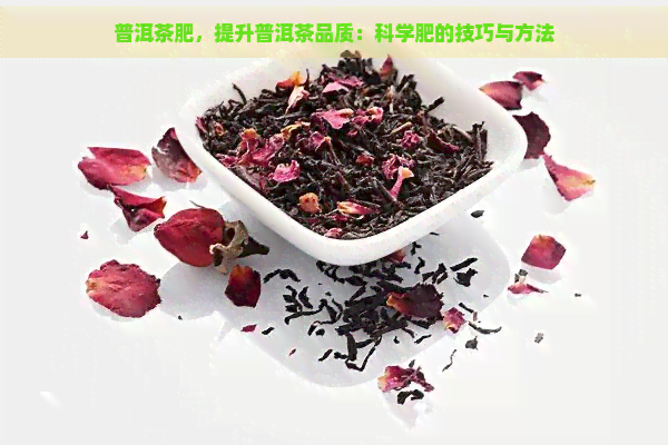 普洱茶肥，提升普洱茶品质：科学肥的技巧与方法