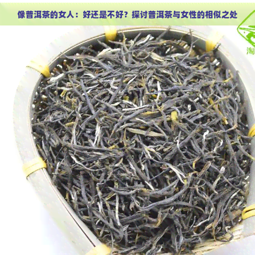 像普洱茶的女人：好还是不好？探讨普洱茶与女性的相似之处