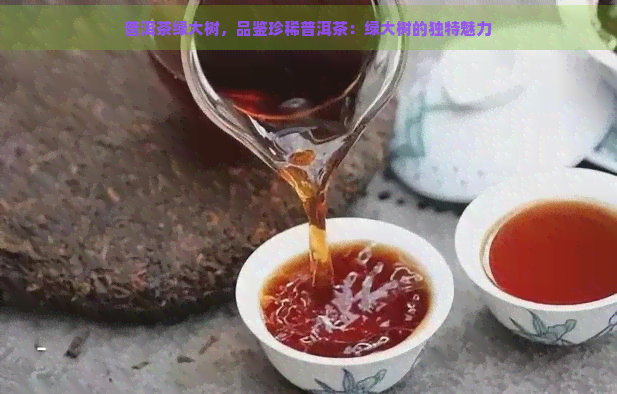 普洱茶绿大树，品鉴珍稀普洱茶：绿大树的独特魅力