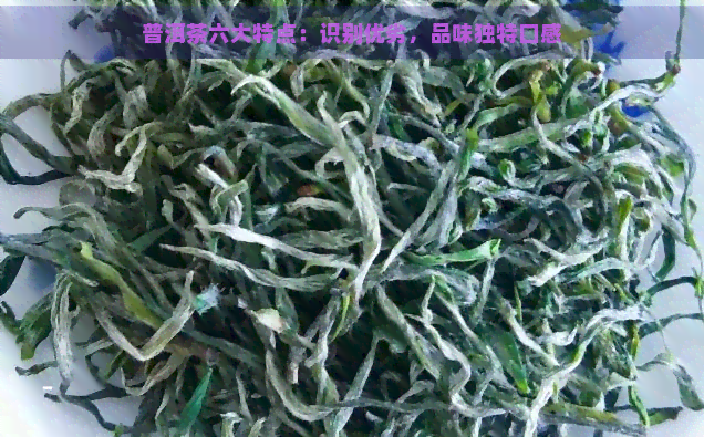 普洱茶六大特点：识别优劣，品味独特口感