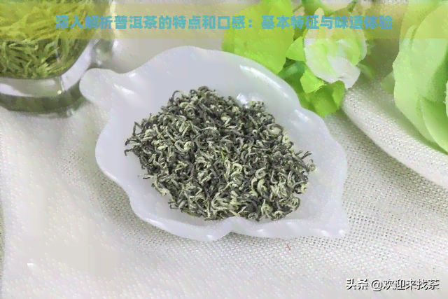 深入解析普洱茶的特点和口感：基本特征与味道体验