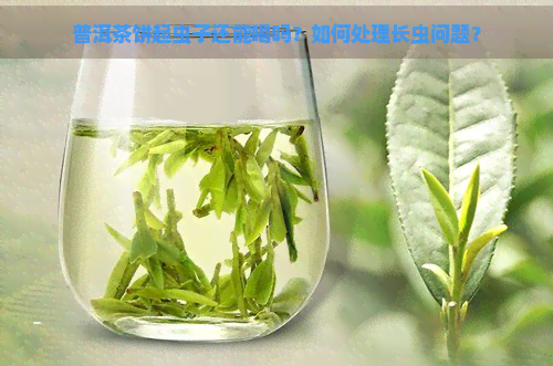 普洱茶饼起虫子还能喝吗？如何处理长虫问题？