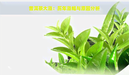 普洱茶大涨：历年涨幅与原因分析