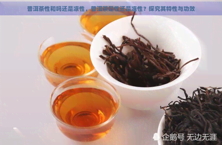 普洱茶性和吗还是凉性，普洱茶是性还是凉性？探究其特性与功效