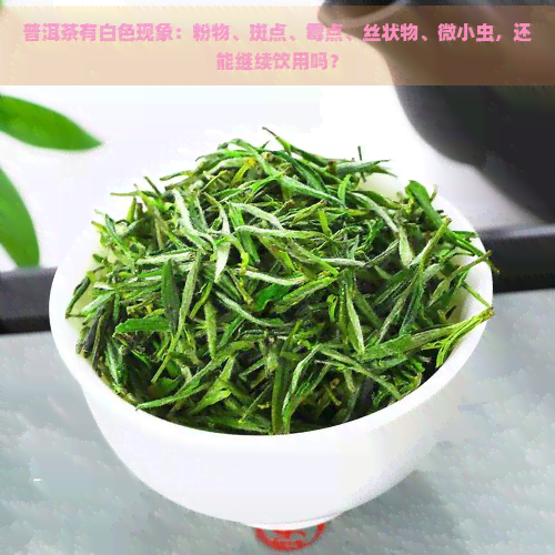 普洱茶有白色现象：粉物、斑点、霉点、丝状物、微小虫，还能继续饮用吗？