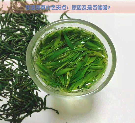 普洱茶有白色斑点：原因及是否能喝？