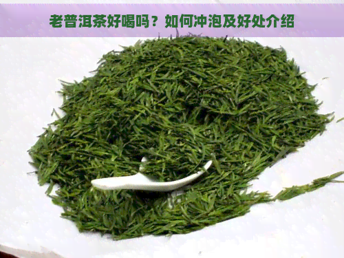 老普洱茶好喝吗？如何冲泡及好处介绍