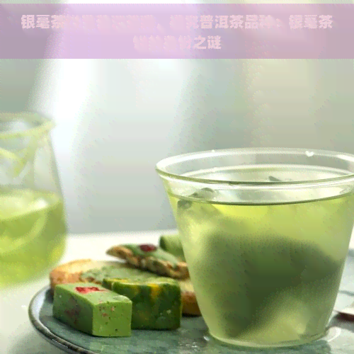 银毫茶饼是普洱茶吗，探究普洱茶品种：银毫茶饼的身份之谜