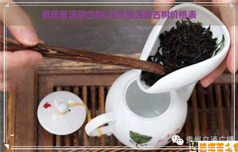 凤庆普洱茶古树-凤庆普洱茶古树价格表