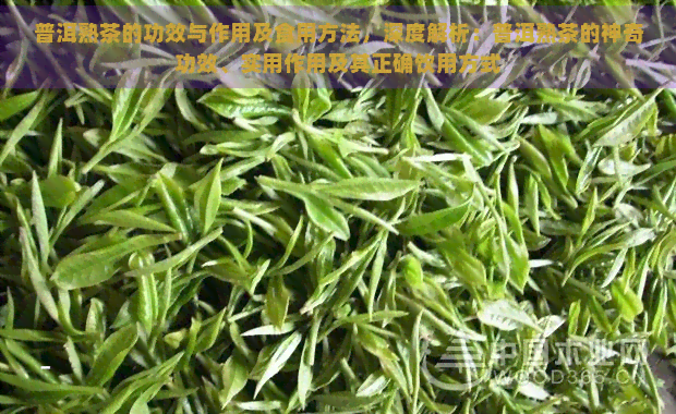 普洱熟茶的功效与作用及食用方法，深度解析：普洱熟茶的神奇功效、实用作用及其正确饮用方式