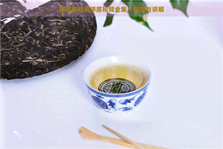 普洱茶知识讲座视频全集：教程与讲解