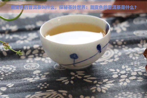 能变色的普洱茶叫什么，探秘茶叶世界：能变色的普洱茶是什么？