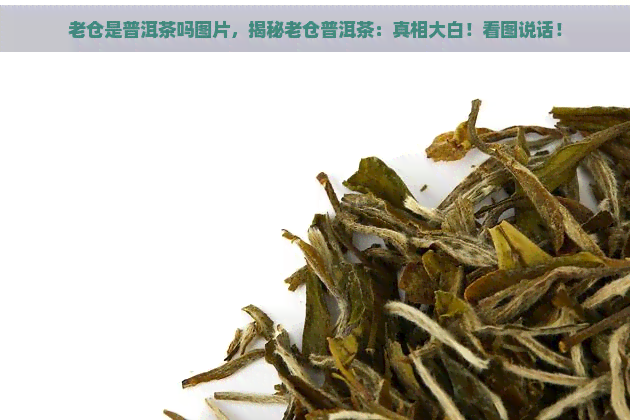 老仓是普洱茶吗图片，揭秘老仓普洱茶：真相大白！看图说话！