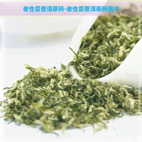 老仓是普洱茶吗-老仓是普洱茶吗图片