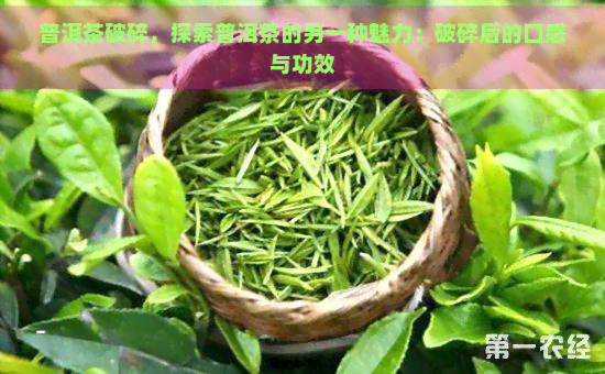 普洱茶破碎，探索普洱茶的另一种魅力：破碎后的口感与功效