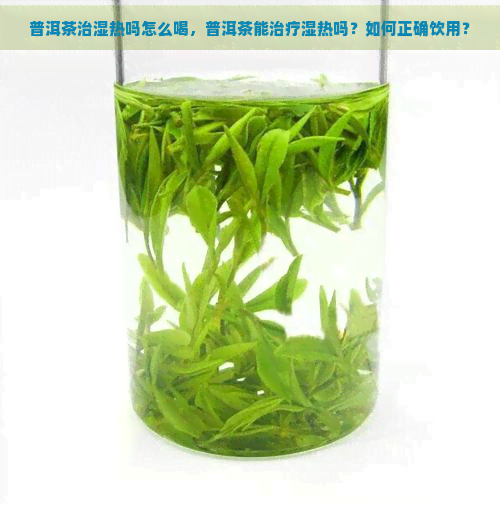 普洱茶治湿热吗怎么喝，普洱茶能治疗湿热吗？如何正确饮用？