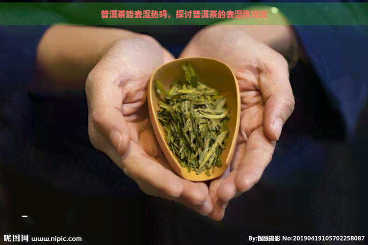 普洱茶能去湿热吗，探讨普洱茶的去湿热功效