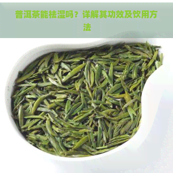 普洱茶能祛湿吗？详解其功效及饮用方法