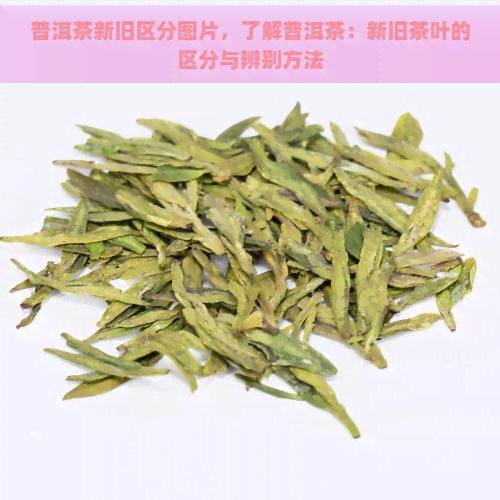 普洱茶新旧区分图片，了解普洱茶：新旧茶叶的区分与辨别方法