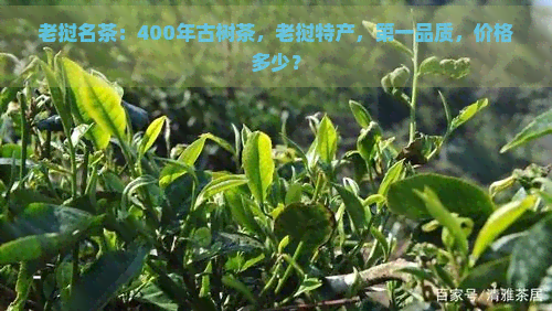 老挝名茶：400年古树茶，老挝特产，之一品质，价格多少？