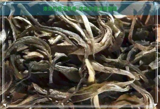 浓浓的普洱茶香-浓浓的普洱茶香味