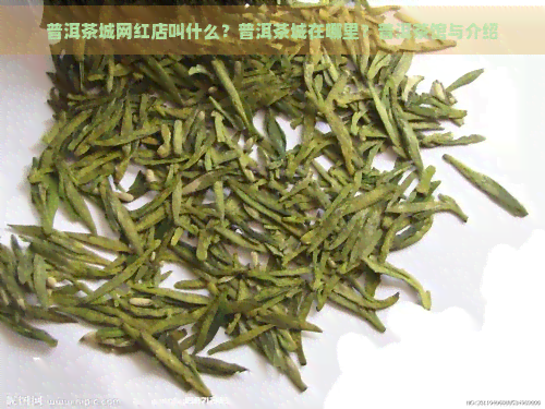 普洱茶城网红店叫什么？普洱茶城在哪里？普洱茶馆与介绍