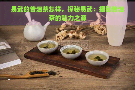 易武的普洱茶怎样，探秘易武：揭秘普洱茶的魅力之源