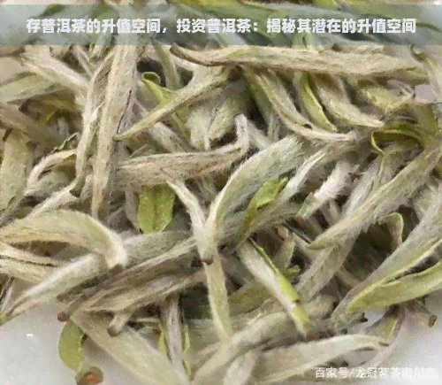 存普洱茶的升值空间，投资普洱茶：揭秘其潜在的升值空间