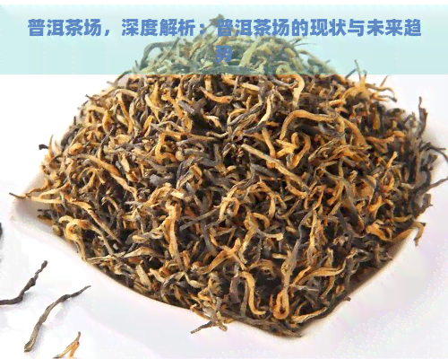 普洱茶场，深度解析：普洱茶场的现状与未来趋势