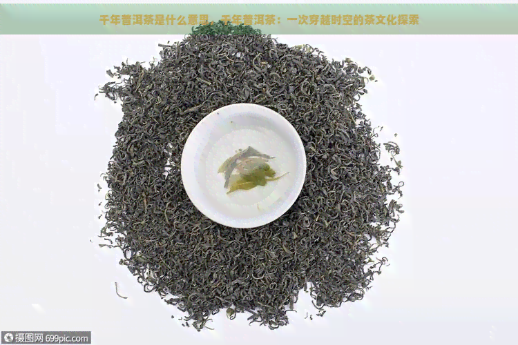 千年普洱茶是什么意思，千年普洱茶：一次穿越时空的茶文化探索