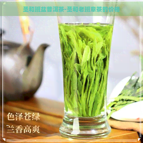 圣和班盆普洱茶-圣和老班章茶的价格