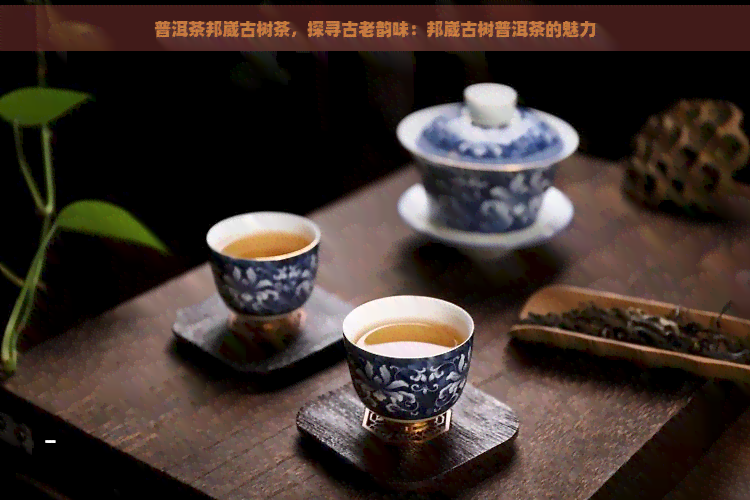 普洱茶邦崴古树茶，探寻古老韵味：邦崴古树普洱茶的魅力