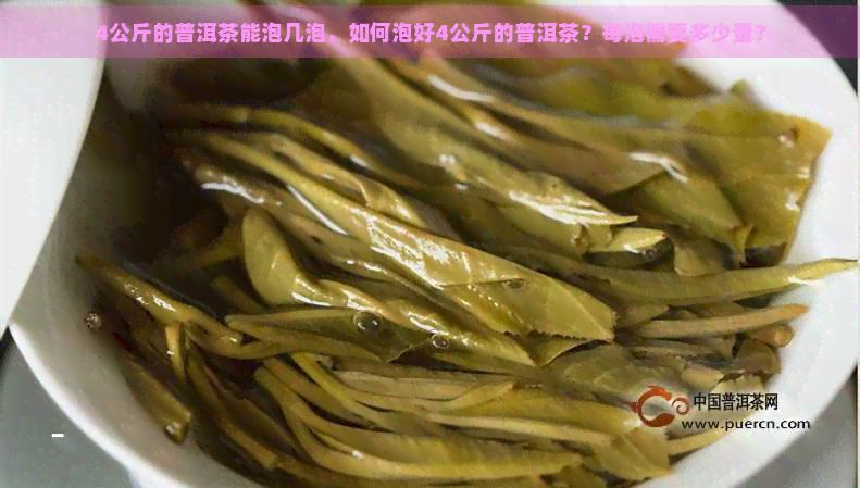 4公斤的普洱茶能泡几泡，如何泡好4公斤的普洱茶？每泡需要多少量？