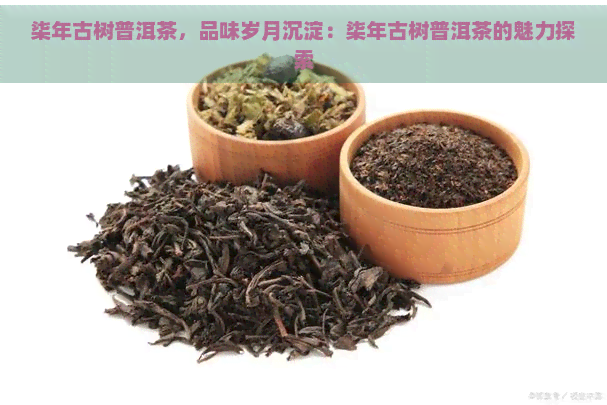 柒年古树普洱茶，品味岁月沉淀：柒年古树普洱茶的魅力探索